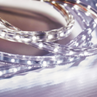 Fita Led Taschibra 5w/m Ip67 Uso Externo 220v | Valor Do Metr